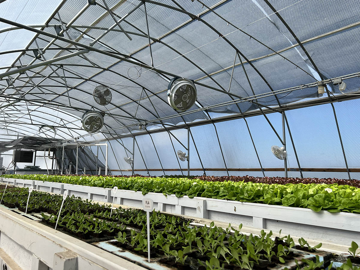 YWAMEmerge_Greenhouse-Web-1.jpg